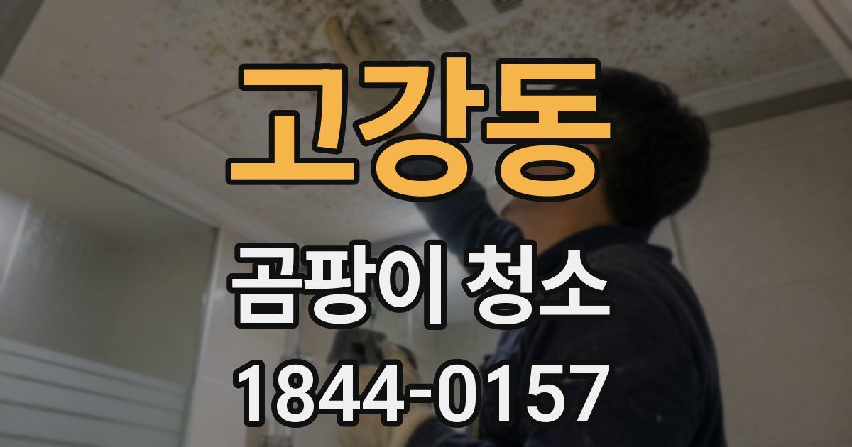 고강동 곰팡이 청소