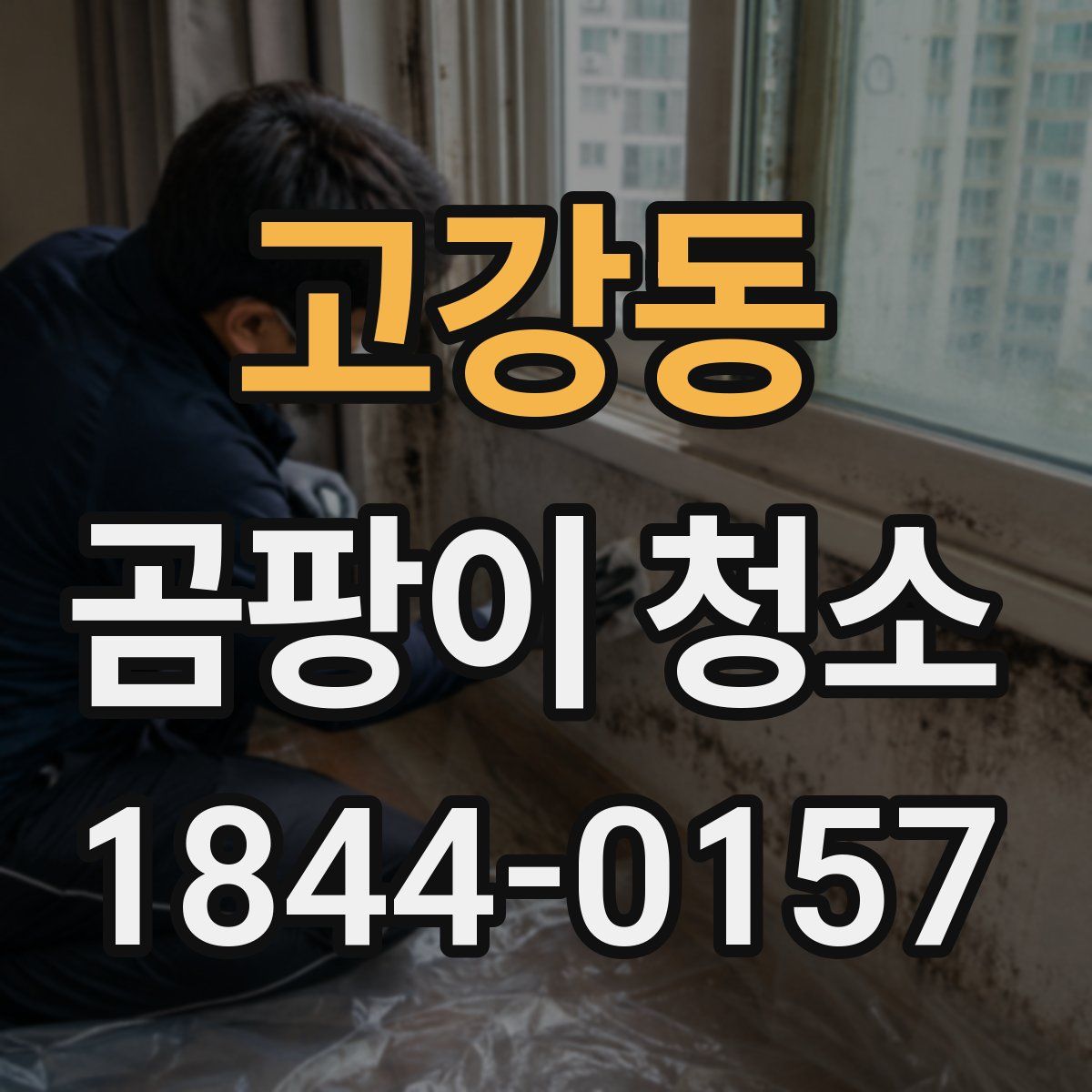 고강동 곰팡이 청소