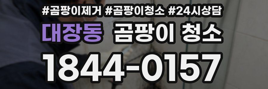 대장동 곰팡이 청소
