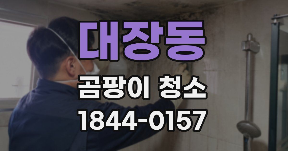 대장동 곰팡이 청소