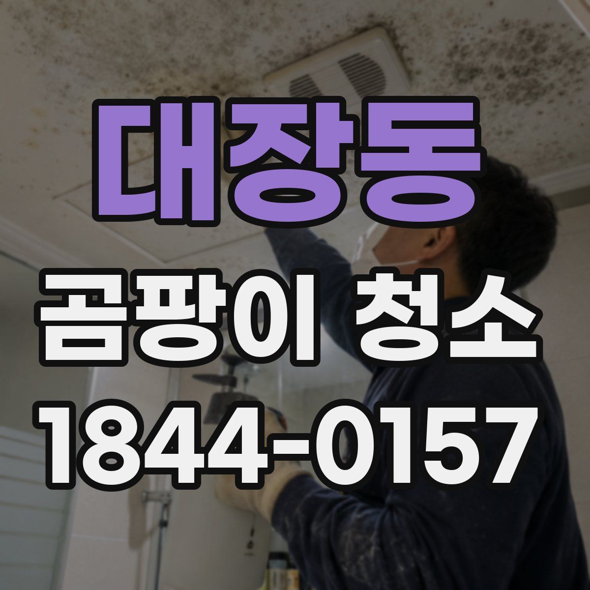 대장동 곰팡이 청소