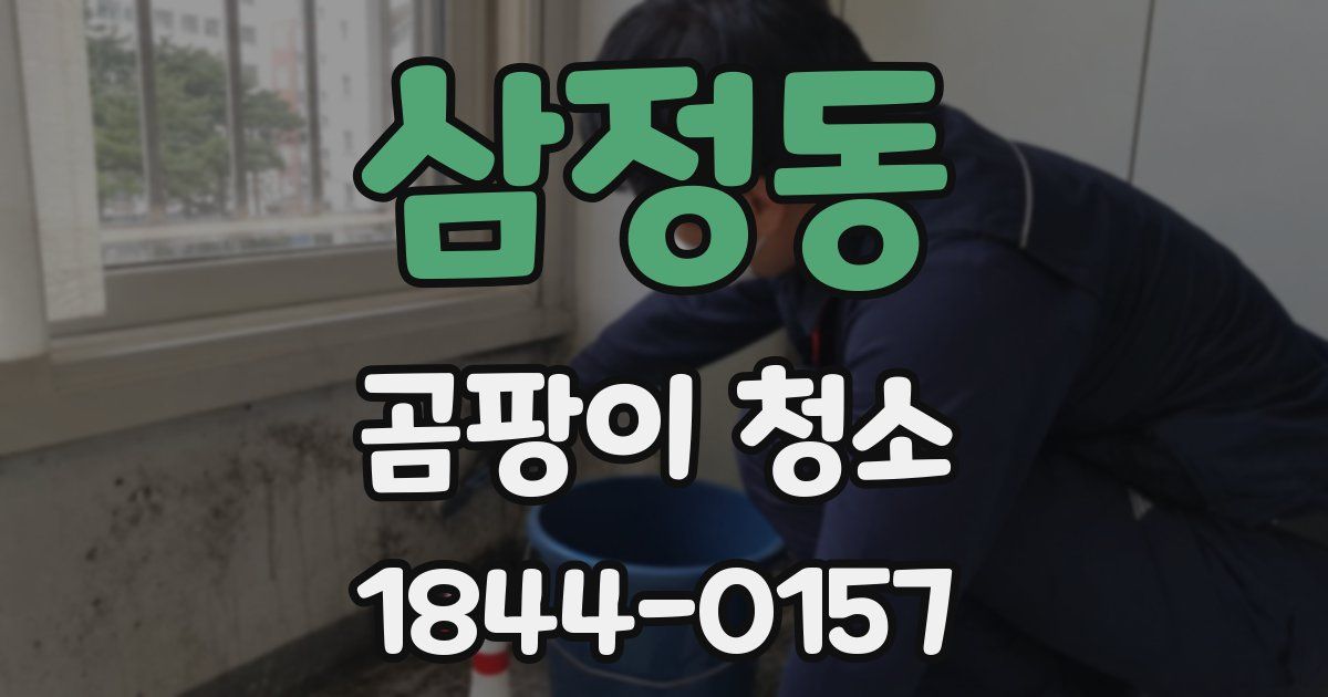 삼정동 곰팡이 청소