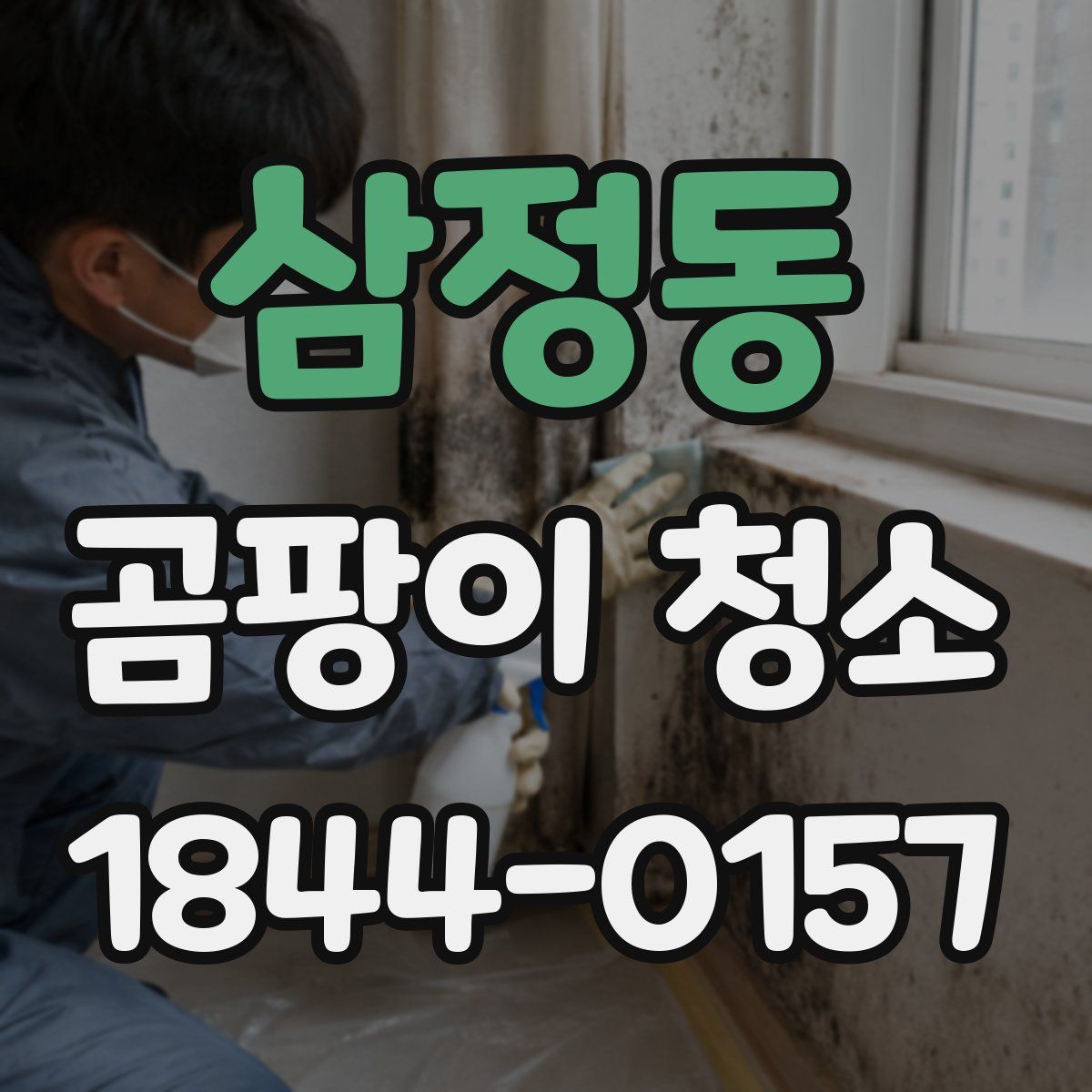 삼정동 곰팡이 청소