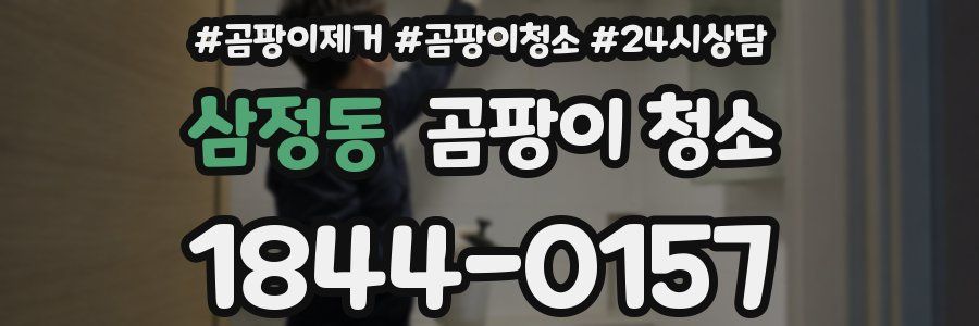 삼정동 곰팡이 청소