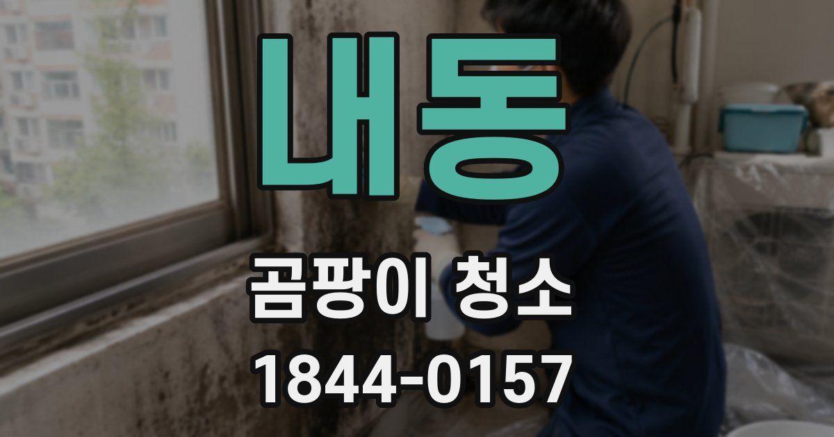 내동 곰팡이 청소