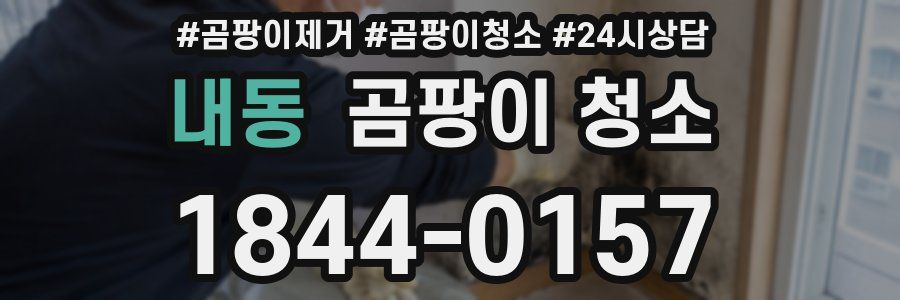 내동 곰팡이 청소
