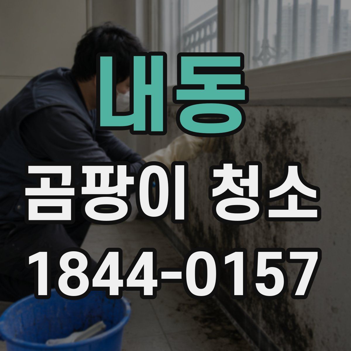 내동 곰팡이 청소