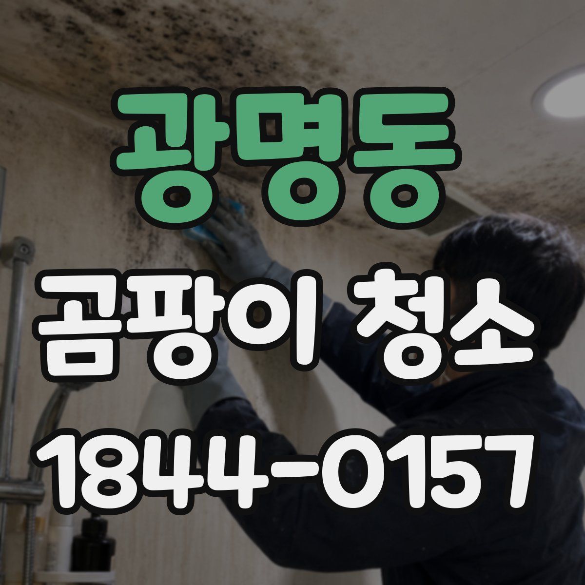 광명동 곰팡이 청소