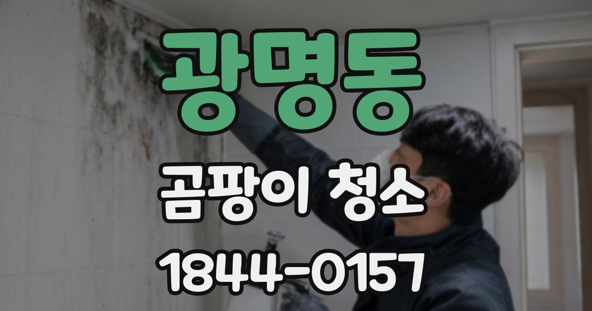 광명동 곰팡이 청소
