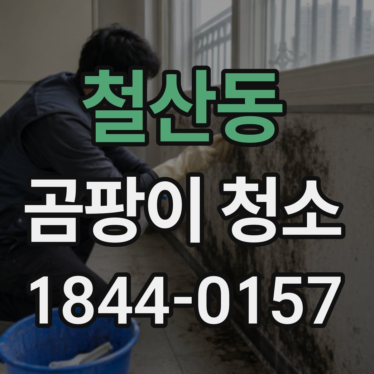 철산동 곰팡이 청소