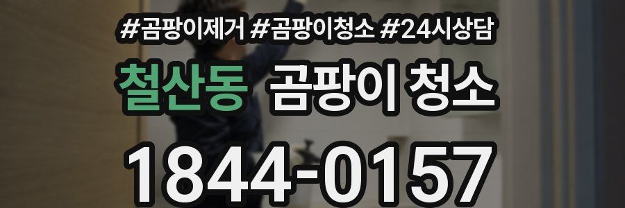 철산동 곰팡이 청소