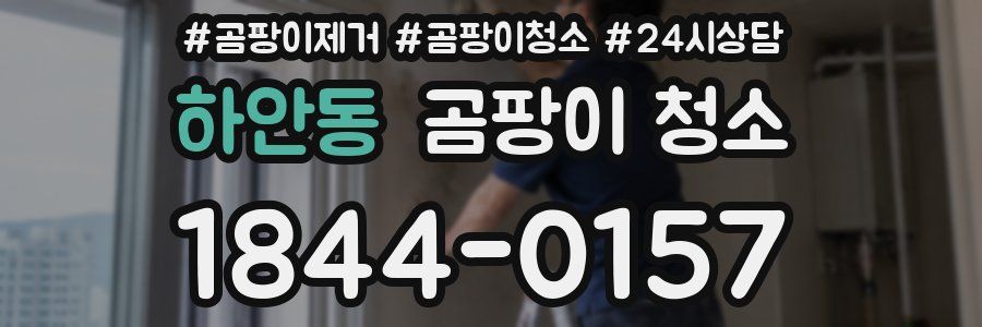 하안동 곰팡이 청소