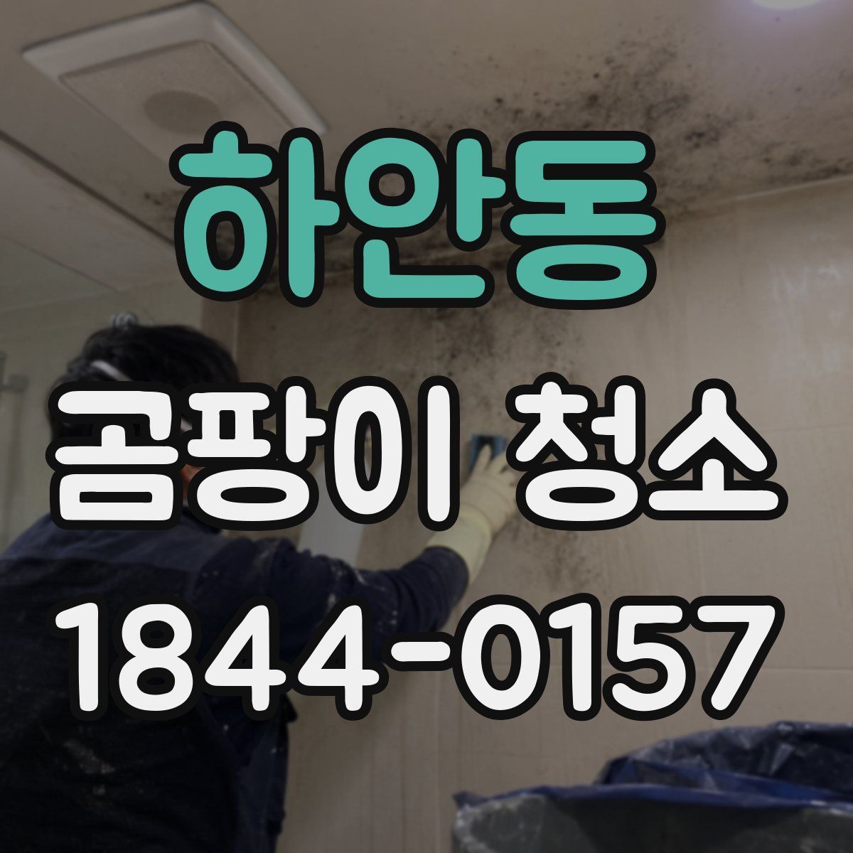 하안동 곰팡이 청소