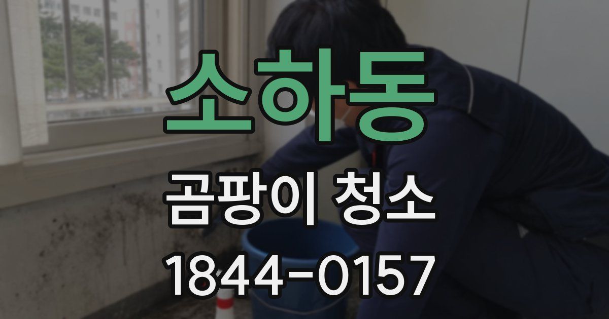 소하동 곰팡이 청소