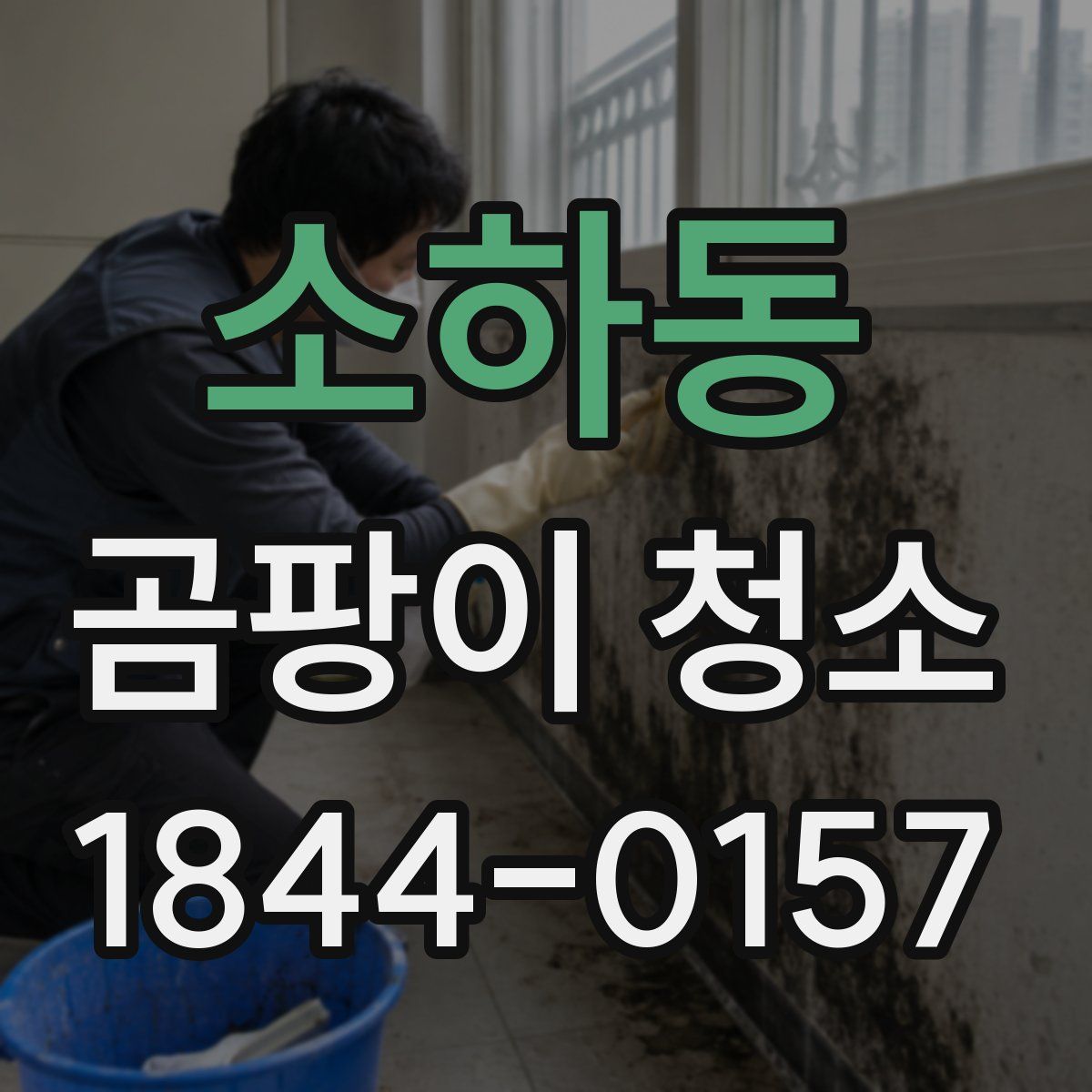 소하동 곰팡이 청소