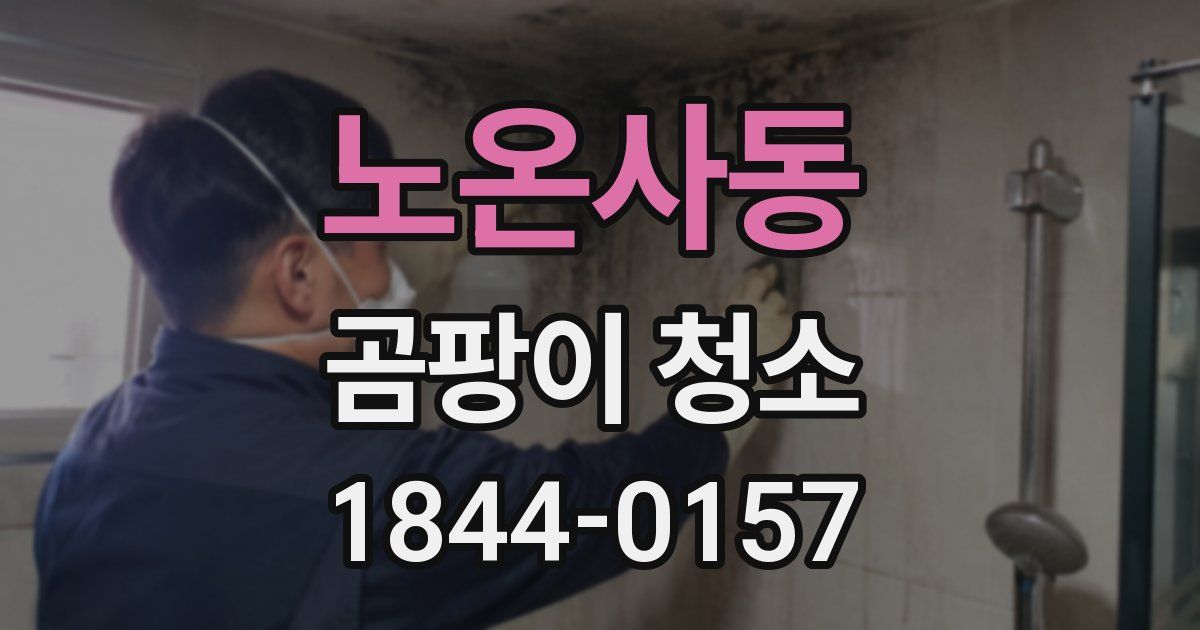 노온사동 곰팡이 청소