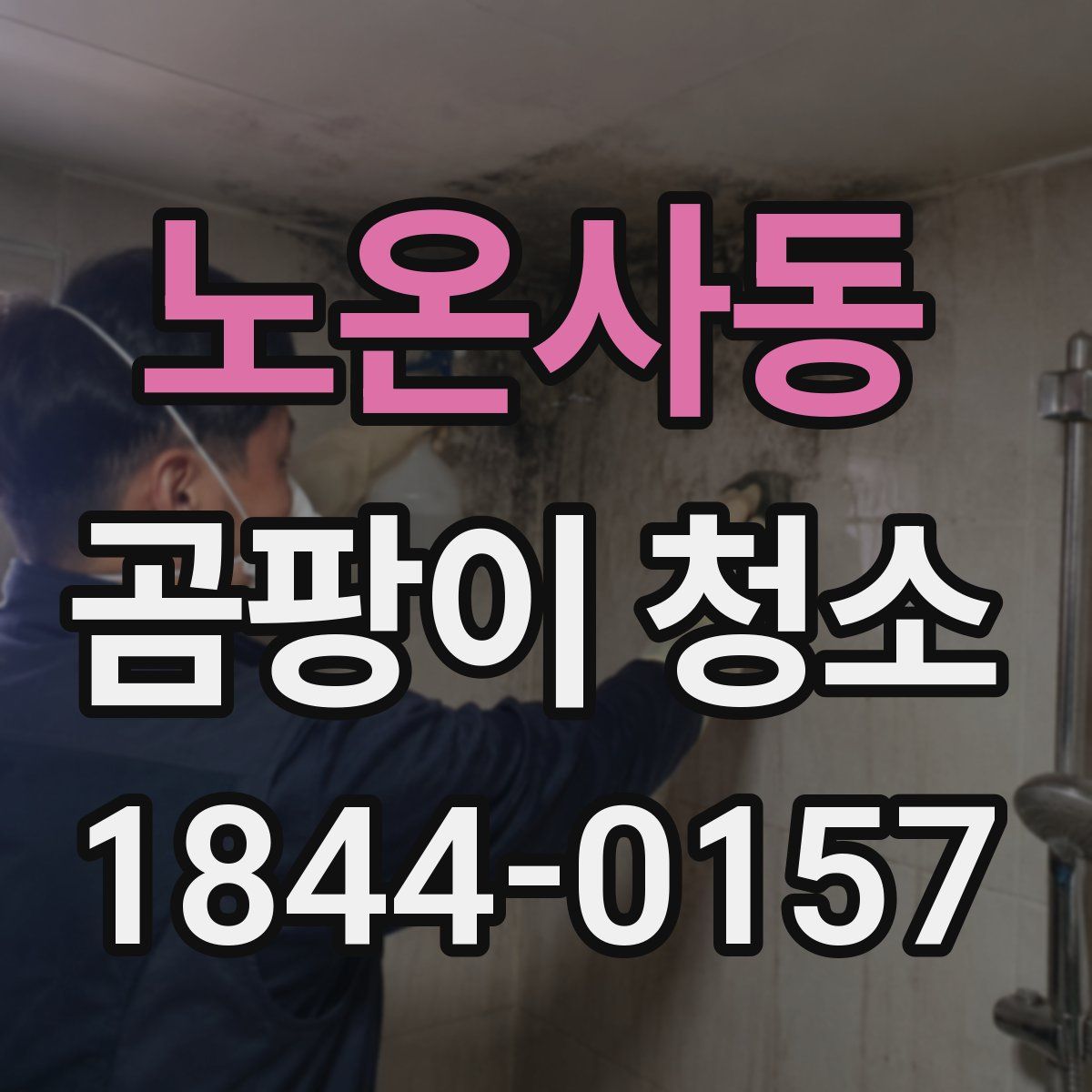 노온사동 곰팡이 청소