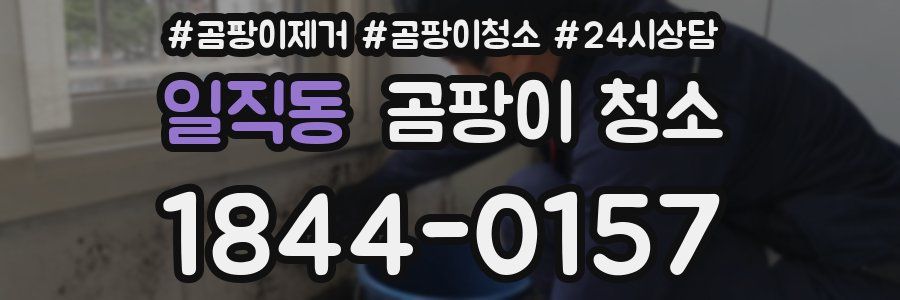일직동 곰팡이 청소