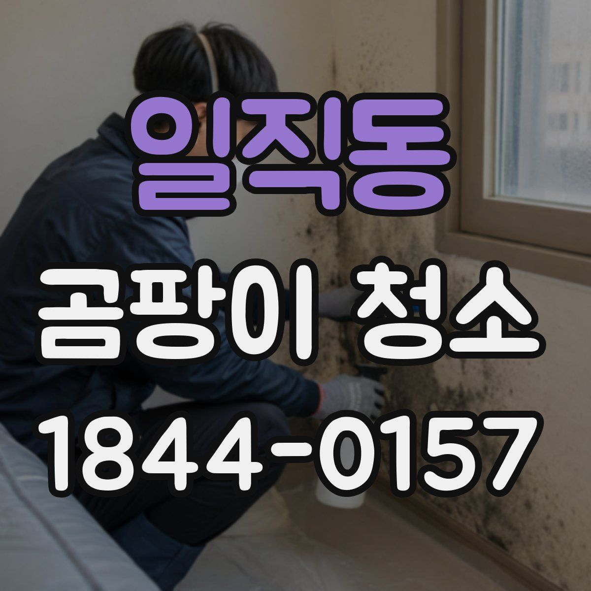 일직동 곰팡이 청소