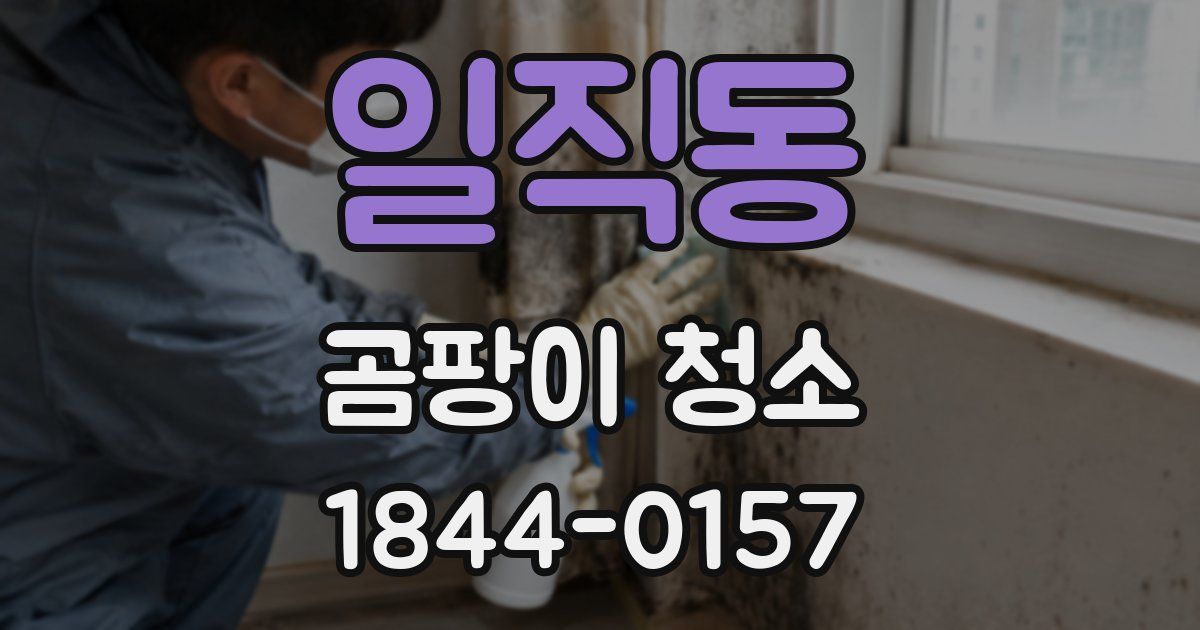 일직동 곰팡이 청소