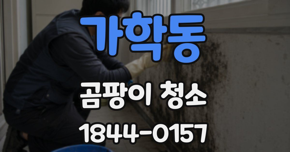 가학동 곰팡이 청소