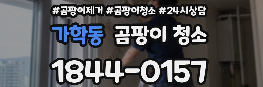 가학동 곰팡이 청소