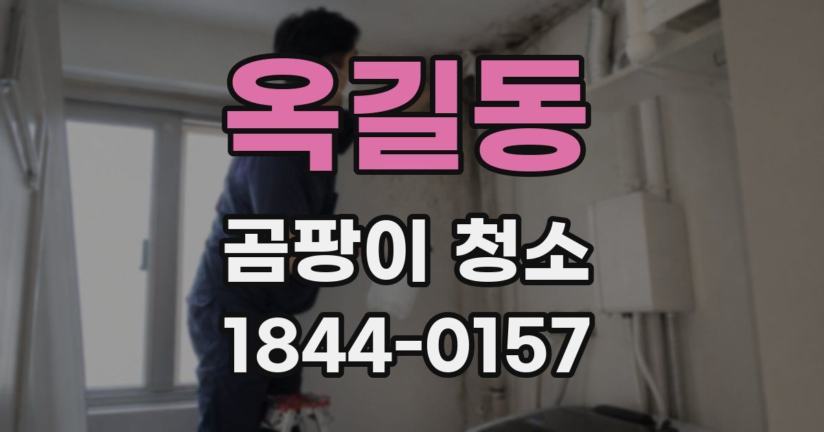 옥길동 곰팡이 청소