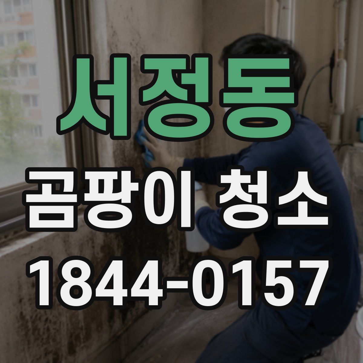 서정동 곰팡이 청소