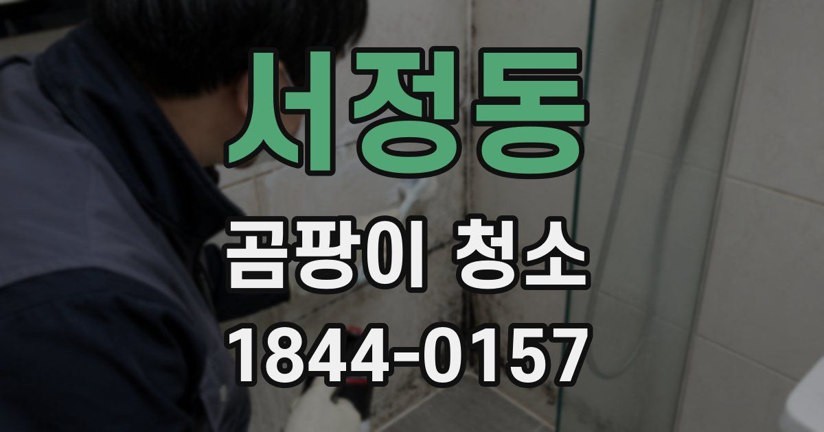 서정동 곰팡이 청소