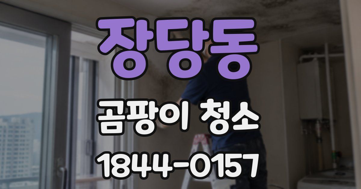 장당동 곰팡이 청소