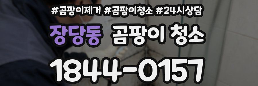 장당동 곰팡이 청소