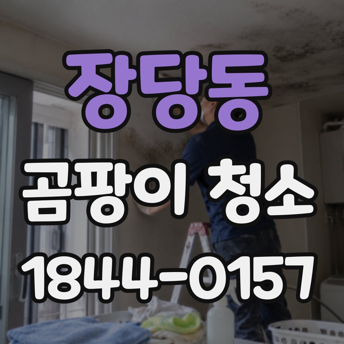 장당동 곰팡이 청소