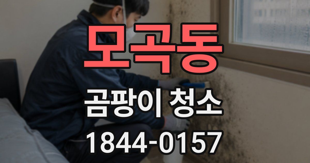 모곡동 곰팡이 청소