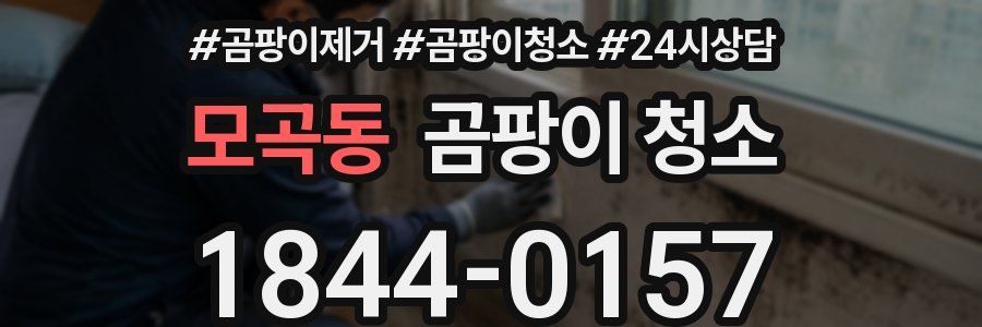 모곡동 곰팡이 청소