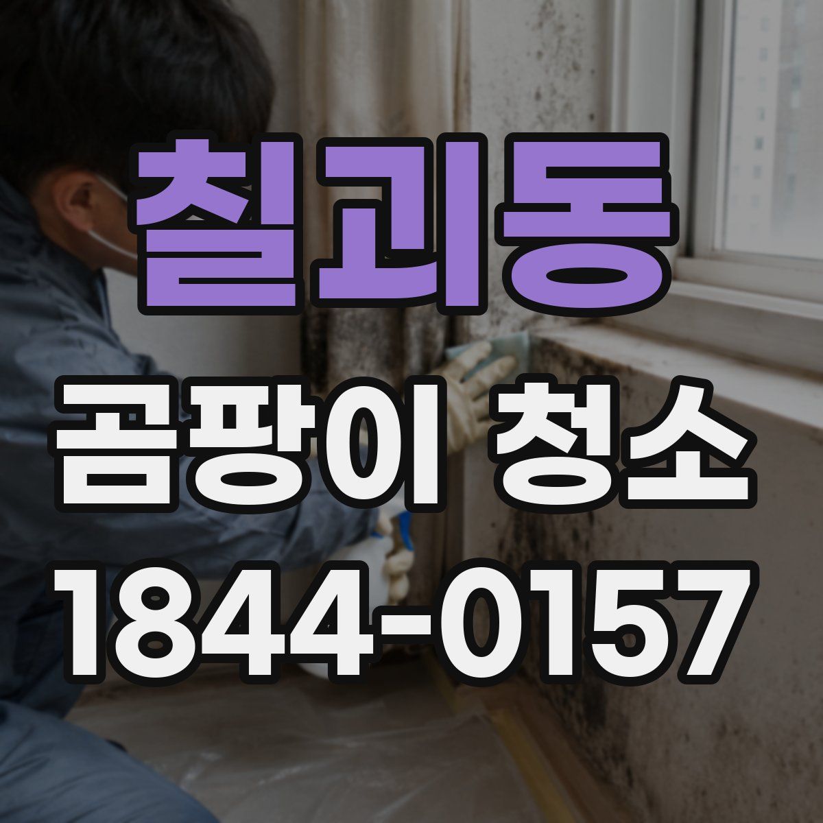 칠괴동 곰팡이 청소