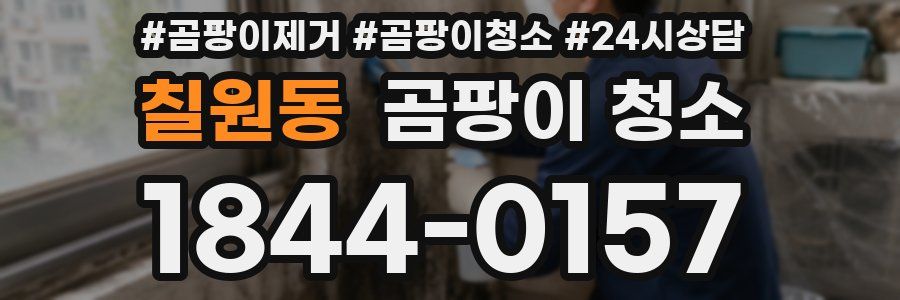 칠원동 곰팡이 청소