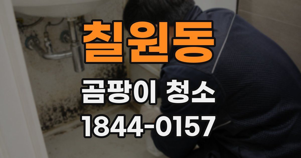 칠원동 곰팡이 청소