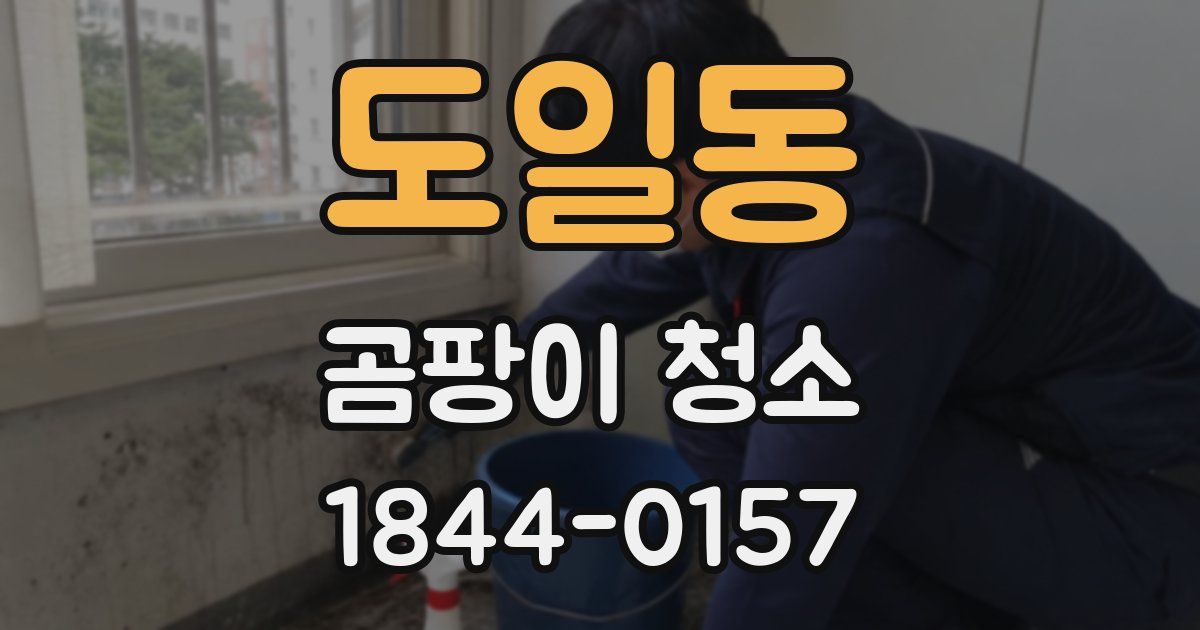 도일동 곰팡이 청소