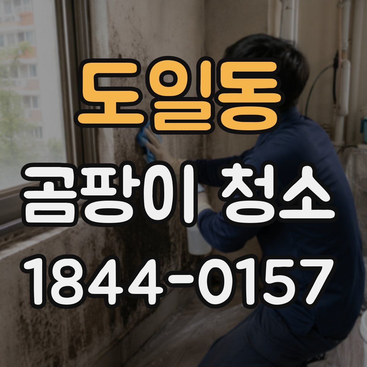 도일동 곰팡이 청소