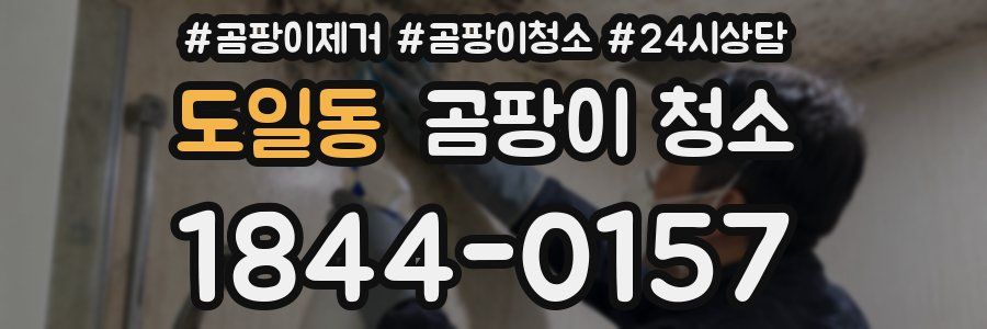 도일동 곰팡이 청소
