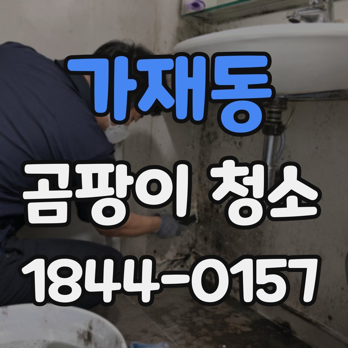 가재동 곰팡이 청소