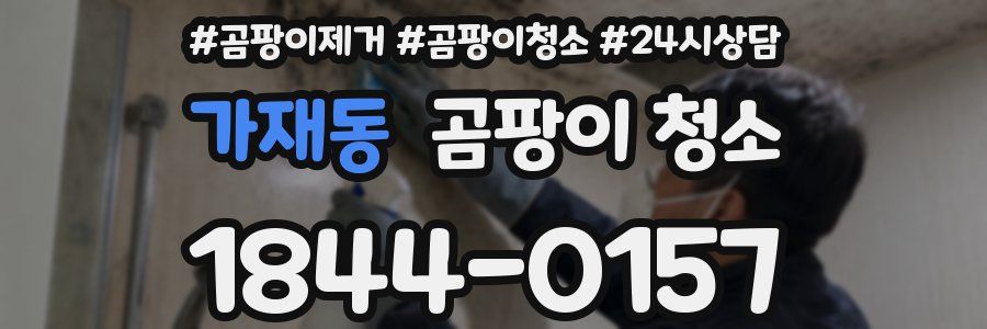가재동 곰팡이 청소