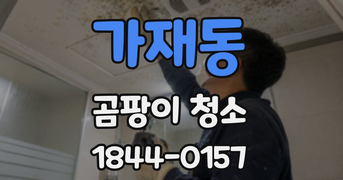 가재동 곰팡이 청소