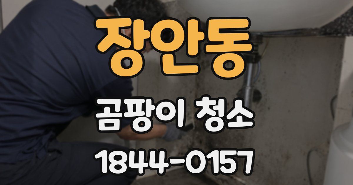 장안동 곰팡이 청소