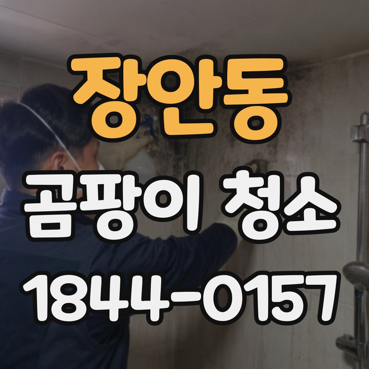 장안동 곰팡이 청소