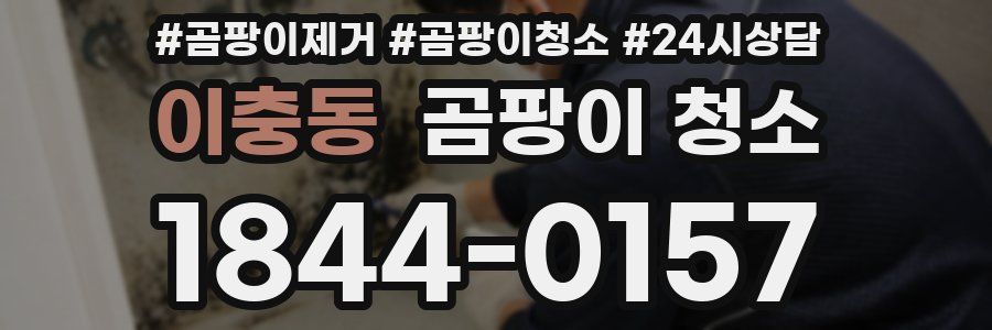 이충동 곰팡이 청소