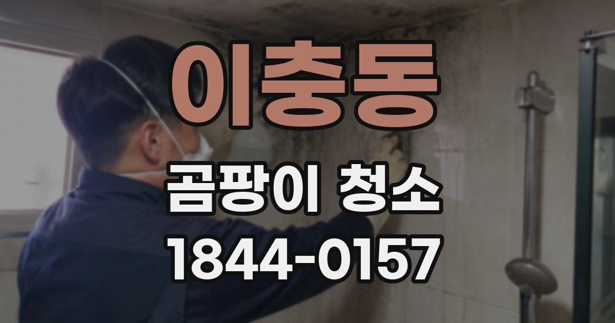 이충동 곰팡이 청소