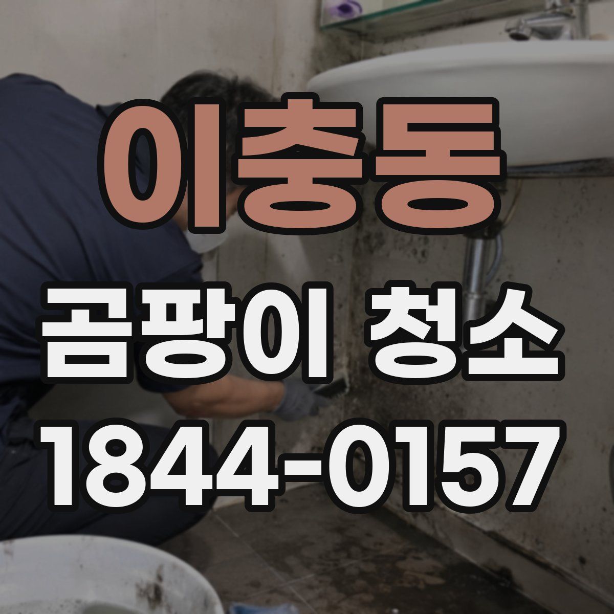 이충동 곰팡이 청소