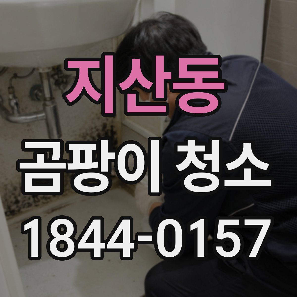 지산동 곰팡이 청소