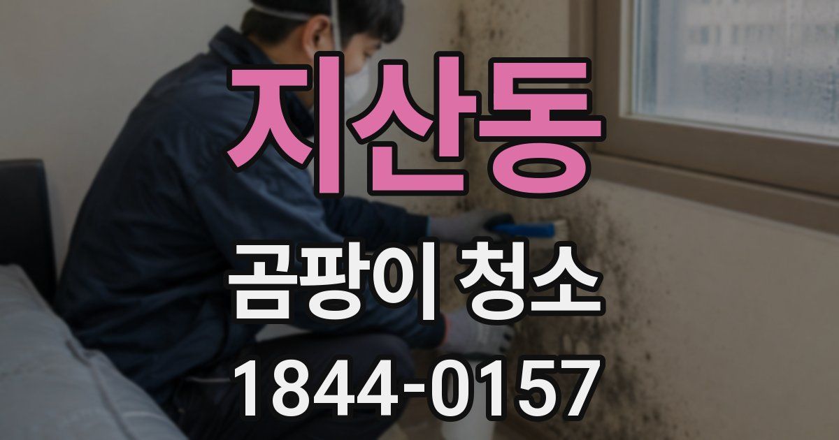 지산동 곰팡이 청소
